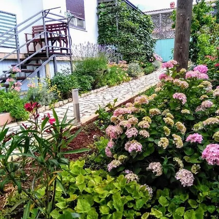 Apartman And Markov Rovinjsko Selo